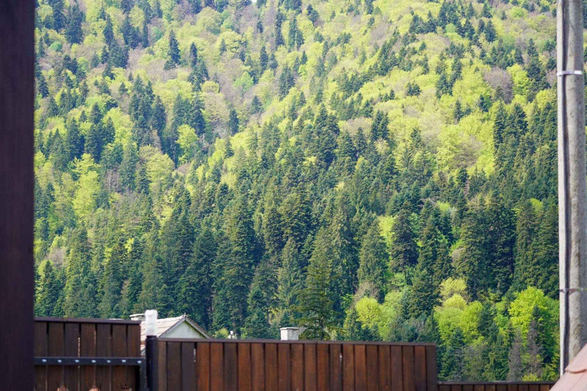 Kata - Lak Hotell BaileTusnad Exteriör bild